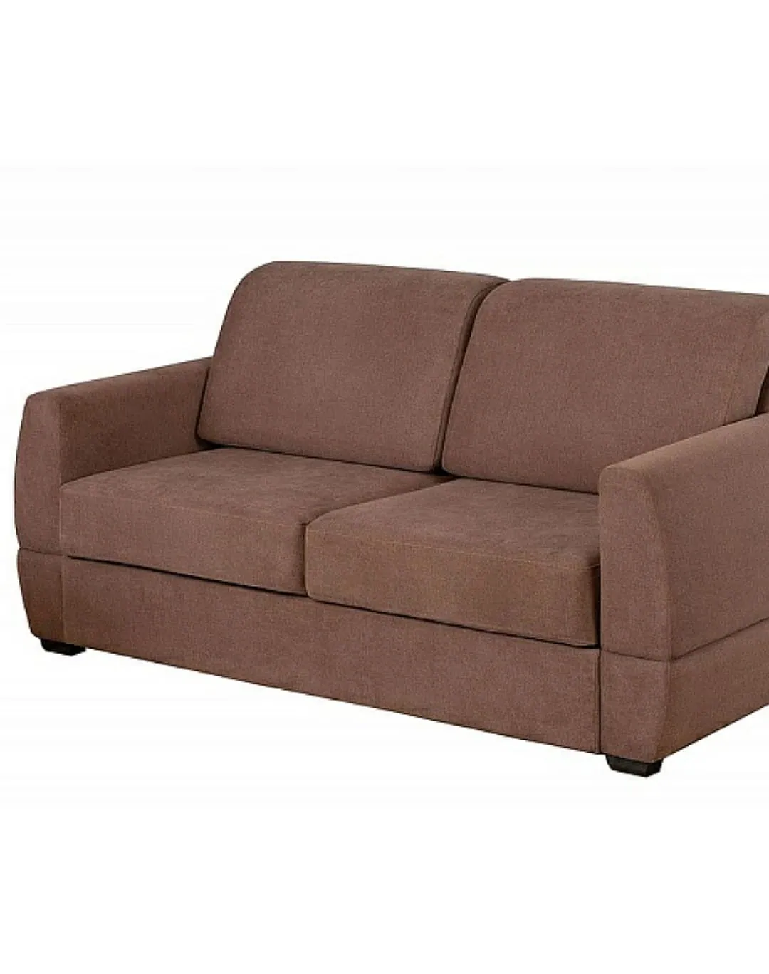 Gabru 2 seater Sofa