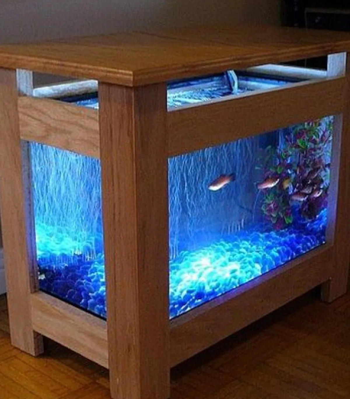 Ocean wonders aquarium (Available on order)